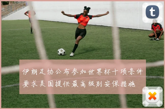 伊朗足协公布参加世界杯十项条件要求美国提供最高级别安保措施