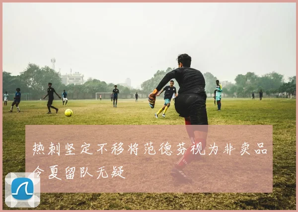 热刺坚定不移将范德芬视为非卖品今夏留队无疑
