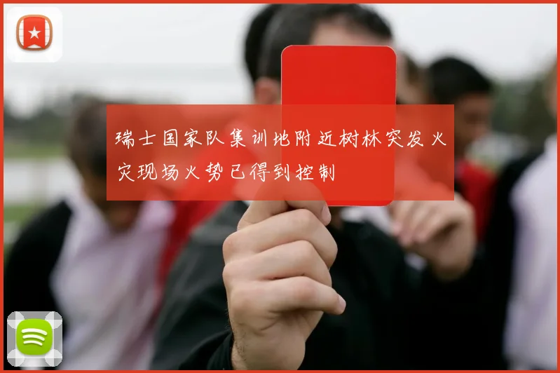 瑞士国家队集训地附近树林突发火灾现场火势已得到控制
