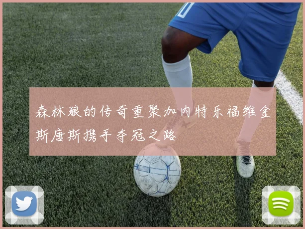 森林狼的传奇重聚加内特乐福维金斯唐斯携手夺冠之路